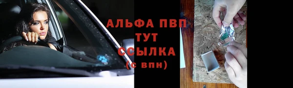 СК Володарск